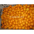 Fresh Good Qulality Baby Mandarin Orange